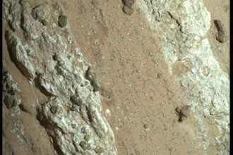 Perseverance нашел на Марсе следы, похожие на окаменелые микробы