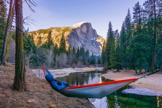 Правила «туалета» в дикой природе: как не привлечь внимание хищников