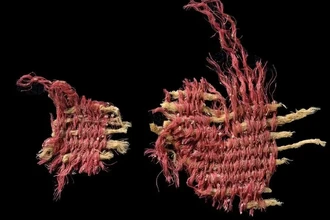 В пещере у Мертвого моря нашли древнюю багряницу