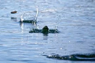 Как пускать камни по воде: техника броска в 4 шага для новичков