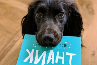 Учёные Гарварда: как чувство благодарности влияет на здоровье и долголетие