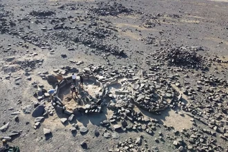 Процветающие культуры древней Аравии: миф о бесплодной земле развеян