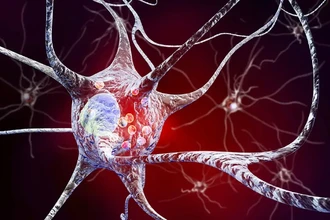 Уязвимость черной субстанции: найдена ключевая причина развития болезни Паркинсона