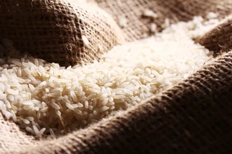 Рисовая шелуха вместо мусора: как из отходов делают жидкое стекло и утеплитель