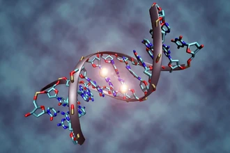 Новый редактор генов остановил смертельные болезни мозга у мышей