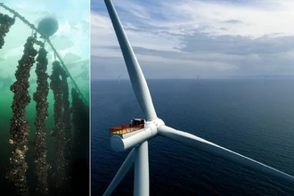 Подводные фермы: как на ветряных электростанциях выращивают еду