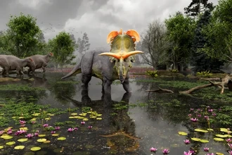 Локицератопс: обнаружен новый динозавр с рогами как у скандинавского бога