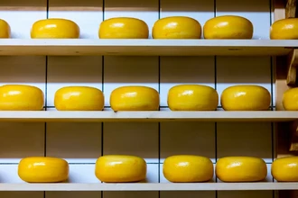 Сыр и психическое здоровье: неожиданная связь с долголетием и счастливой старостью