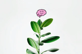 Разумные растения: как цветы общаются и принимают решения