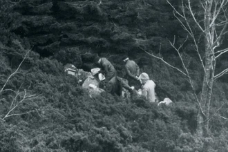 Загадка долины Исдален: нераскрытая тайна смерти неизвестной женщины в Норвегии