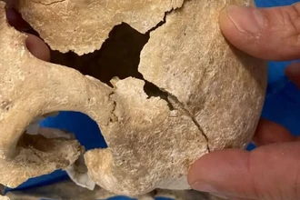 Останки женщины-воина найдены в могиле рыцарей Ордена Калатравы в Испании