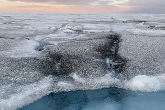 Гигантские вирусы на арктических льдах: как они могут замедлить таяние