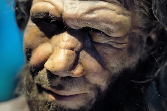 Скрещивание с неандертальцами длилось 6800 лет: как это изменило наш геном