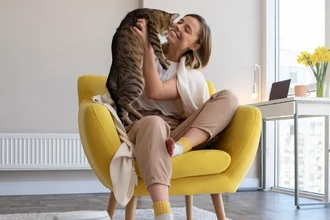 Как кондиционер очищает воздух и влияет на домашних кошек: обзор технологий