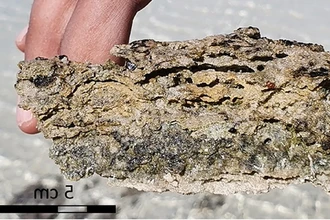 В Саудовской Аравии найдены древнейшие строматолиты — первые формы жизни на Земле