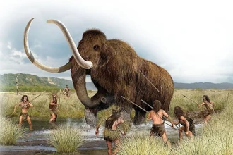 Женщины-охотницы: почему миф о мамонтах не соответствует истине