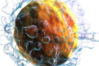 Как иммунные клетки мозга провоцируют болезнь Альцгеймера