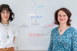 Почему метастазы идут в легкие? Открыт механизм «притяжения» рака