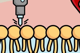 Молекулярные молотки: как новая технология физически уничтожает раковые клетки