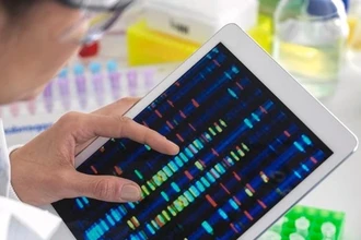 FLVCR1: как ген-курьер влияет на развитие и можно ли исправить его поломку