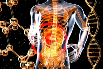 Как бактерии кишечника влияют на наши решения: исследование о чувстве справедливости