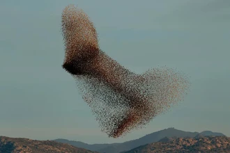 Математика будущего: как искусственный интеллект совершит переворот в науке