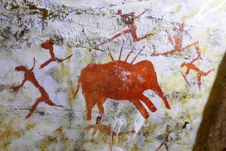 Эволюция бега: как долгая погоня за добычей сформировала человека