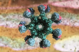 Открыт синдром CRIA: как мутация в гене RIPK1 вызывает хроническое воспаление