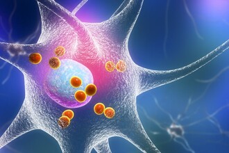 Болезнь Паркинсона: как иммунная система запускает процесс за годы до симптомов