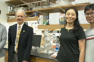 Двойной удар по раку: как ученые научились блокировать опасный ген MYC