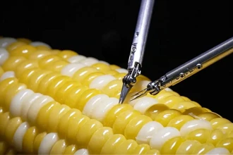 Робот-хирург от Sony: как оперируют сосуды тоньше миллиметра