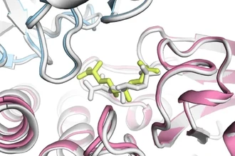 AlphaFold3: как новая модель предсказывает взаимодействия белков в клетке