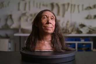 Лицо неандертальской женщины возрастом 75 000 лет: ученые собрали череп из осколков