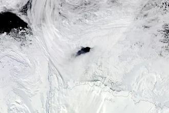 Как в Антарктиде образовалась гигантская полынья размером со Швейцарию?