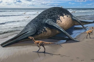 В Англии нашли кости крупнейшего морского дракона в истории