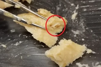 Паразиты в консервах: что нашли учёные в лососе 70-х годов