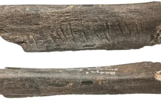 Загадка неандертальца: древнейший символ на медвежьей кости в Европе