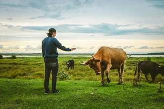 Вирусы от людей: как человек заражает животных в два раза чаще