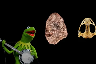 Путешествие в прошлое: кто населял Землю миллионы лет назад