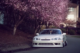 10 полезных покупок для автомобиля весной: готовим машину к сезону