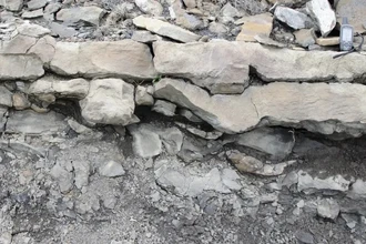 На Аляске найдены следы динозавров: 100 млн лет назад здесь был тропический климат