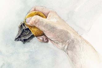 Древний клей неандертальцев: сложная технология, переворачивающая историю