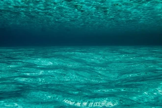 Вирусы в океане: неожиданное оружие против климатического кризиса