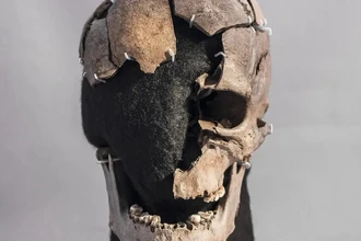 История Виттрупского человека: путь из Скандинавии и жестокая смерть в Дании