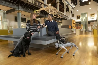 RoboGuide: придут ли роботы-поводыри на смену собакам в будущем?