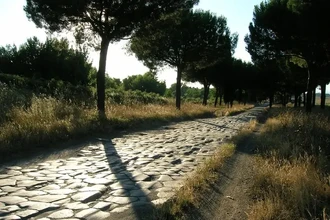 Древняя ДНК раскрыла уровень мобильности в Римской империи