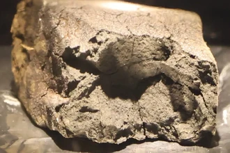 Главные новости науки: строительные блоки жизни в метеорите и сейсмика Луны