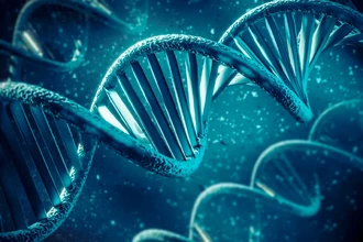 Ген APOE: виновник 90% случаев болезни Альцгеймера? Новые данные