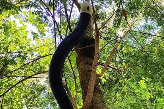 FiloBot: робот, который медленно «растет», как живое растение