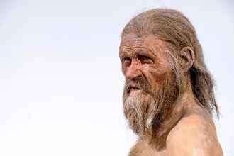 Учёные нашли следы вируса папилломы человека в ДНК возрастом 45 тысяч лет